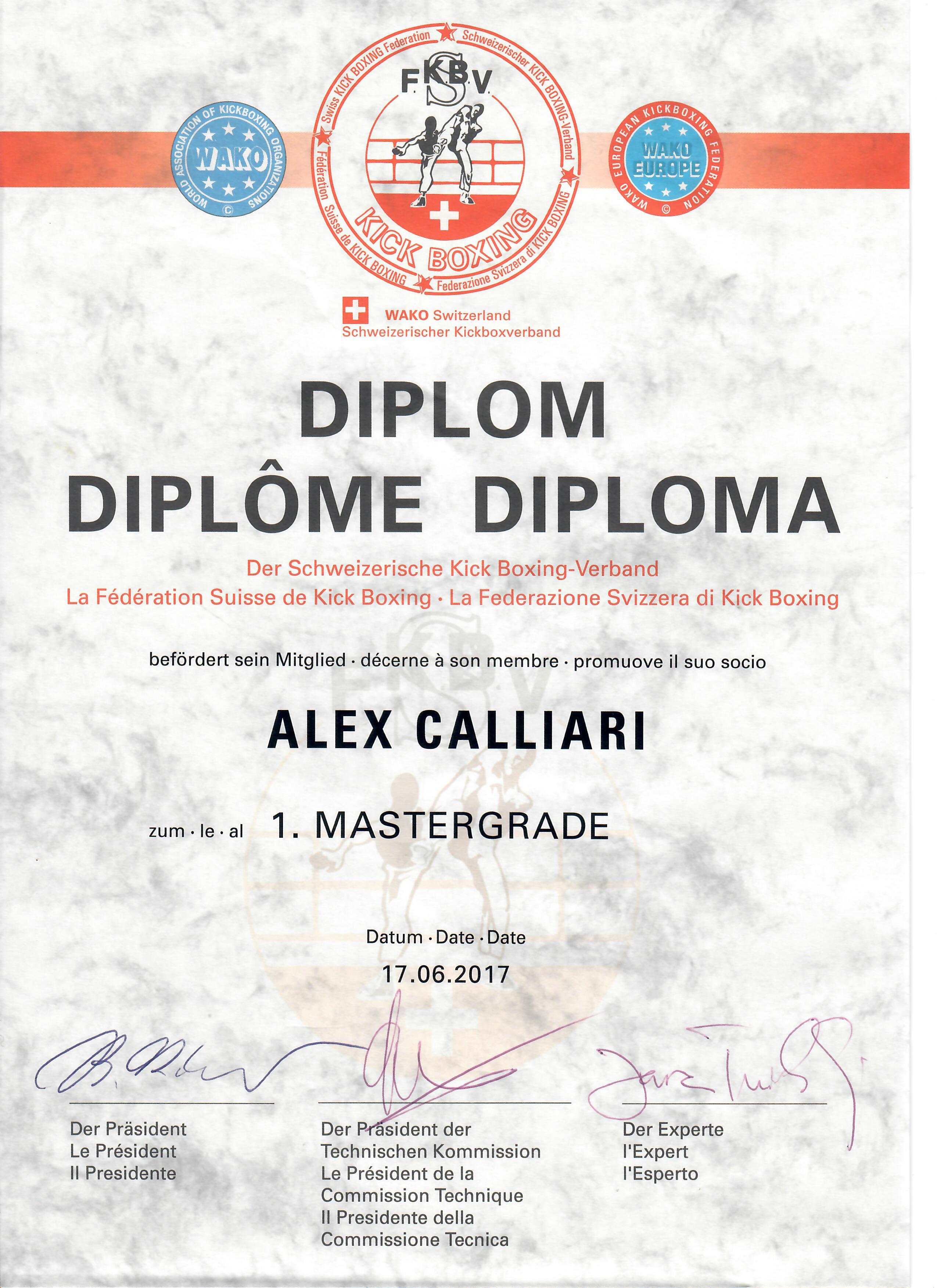 Diplom 1. Meistergrad 2017